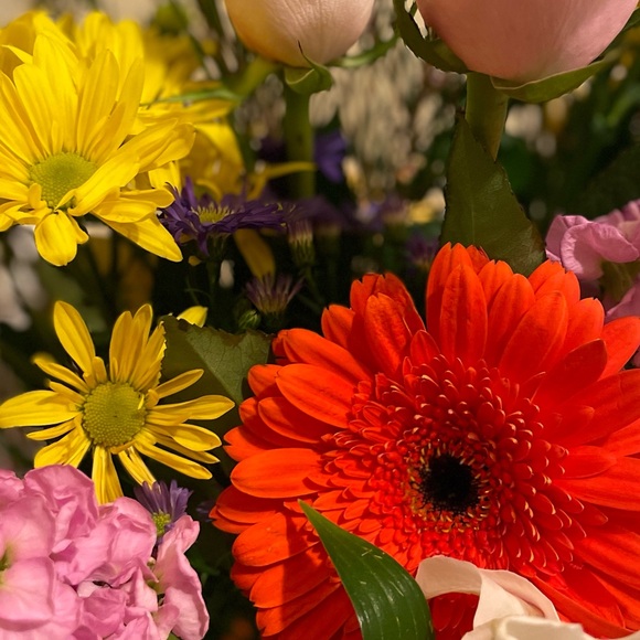 Meet your Posher🖤 - Picture 1 of 1